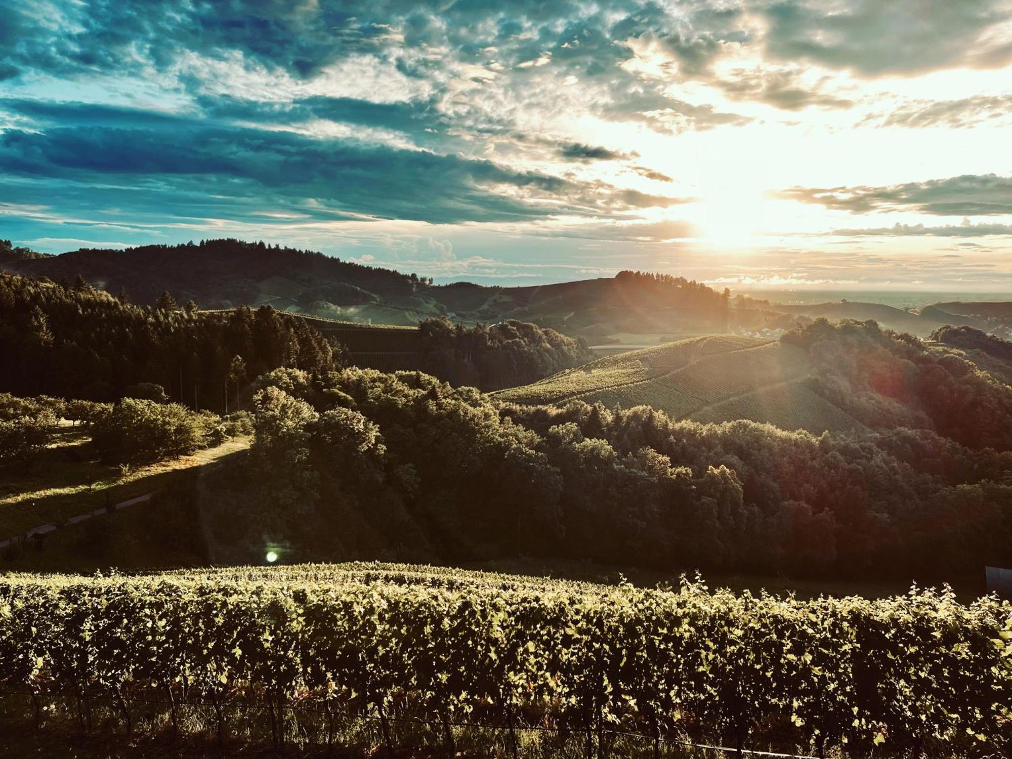 Ferienapartment Huber Oberkirch  Buitenkant foto