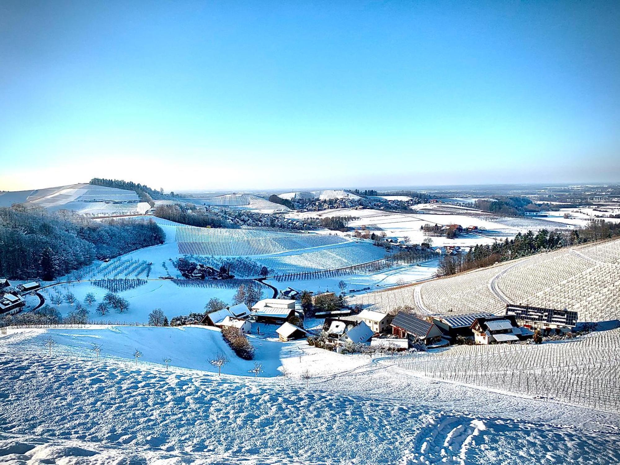 Ferienapartment Huber Oberkirch  Buitenkant foto